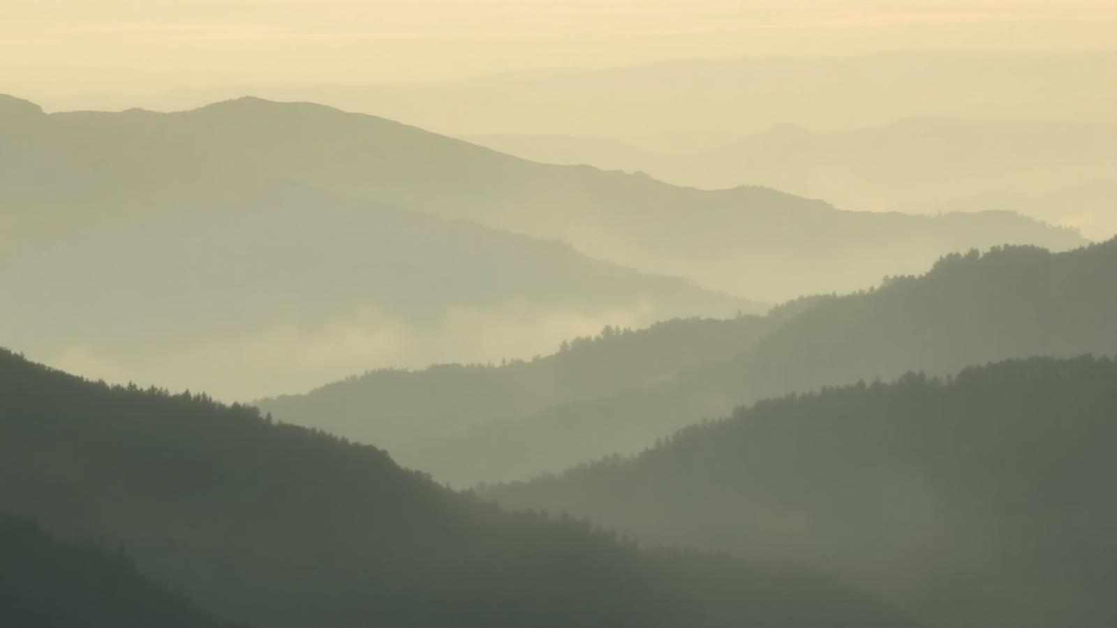 Soft mountain landscape representing the firm's regional roots.